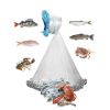 Fishing Bait Trap Radius Fishing Cast Net with Chain Sinker