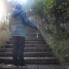 Folding Trekking Poles for use Outdoor Camping & Hiking